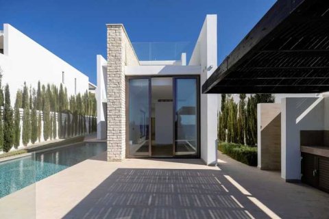 5 bedrooms Villa in Pegeia, Cyprus No. 80769 2