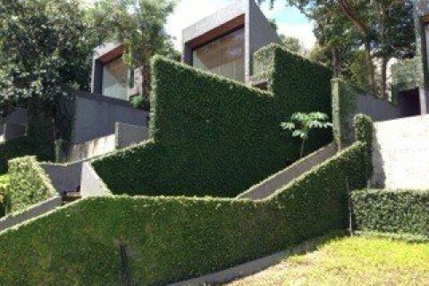 160000m² Land in Trat, Thailand No. 97399 14