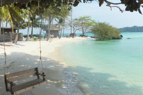 160000m² Land in Trat, Thailand No. 97399 15