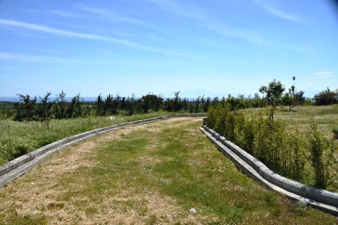 6 bedrooms House in Chalkidiki, Greece No. 59578 15