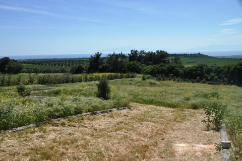 6 bedrooms House in Chalkidiki, Greece No. 59578 17