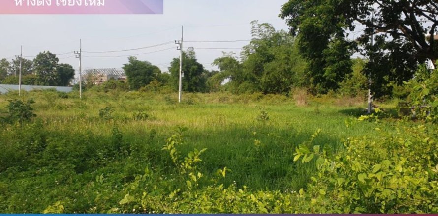 Land in Chiang Mai, Thailand No. 97915