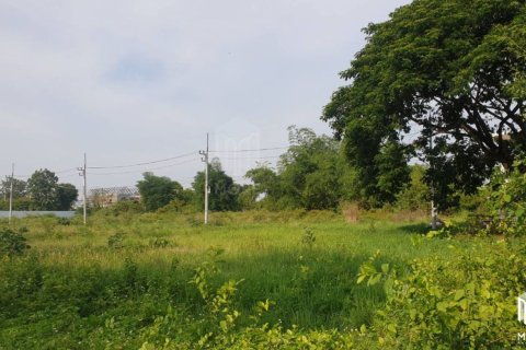 Land in Chiang Mai, Thailand No. 97915 13