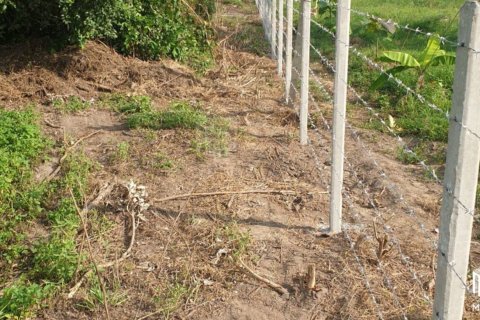 Land in Chiang Mai, Thailand No. 97915 15