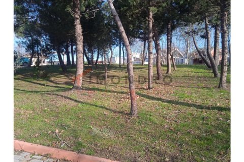 6 bedrooms Villa in Bach Long Vi, Vietnam No. 80474 10