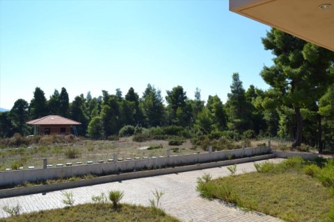 3 bedrooms Townhouse in Chalkidiki, Greece No. 49736 14