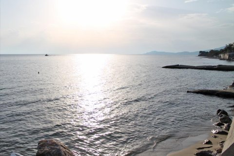 13 rooms Hotel à Chalkidiki, Greece No. 60602 12