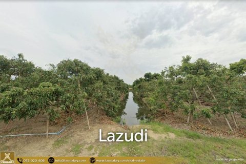 25600m² Land à Chiang Mai, Thailand No. 98003 1