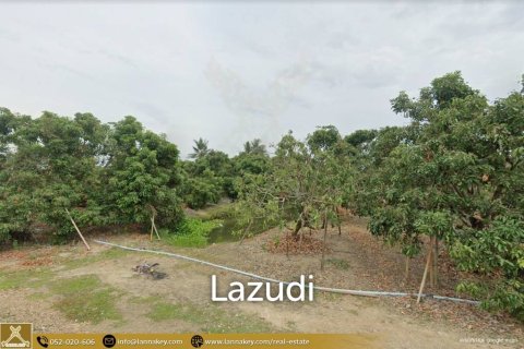 25600m² Land à Chiang Mai, Thailand No. 98003 3