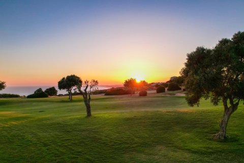 4 chambres Villa à Paphos, Cyprus No. 37984 20