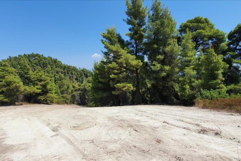 16000m² Land in Chalkidiki, Greece No. 56512 3