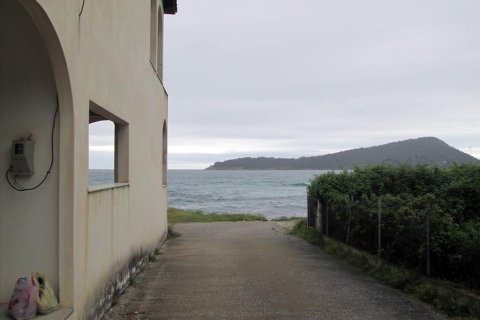 410m² Building in Thasos, Greece No. 60444 4