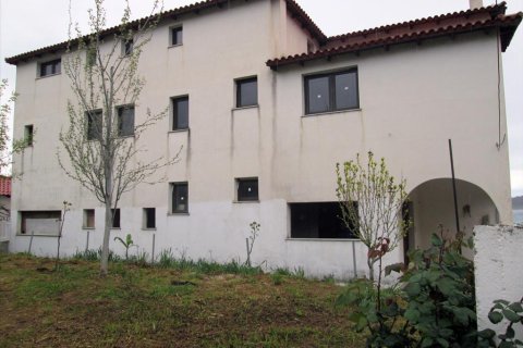 410m² Building in Thasos, Greece No. 60444 3