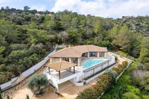 220m² Villa in Paphos, Cyprus No. 105115 13