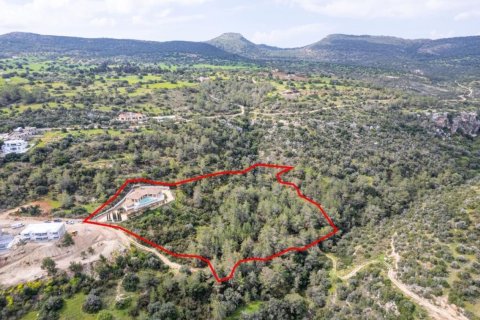 220m² Villa in Paphos, Cyprus No. 105115 11