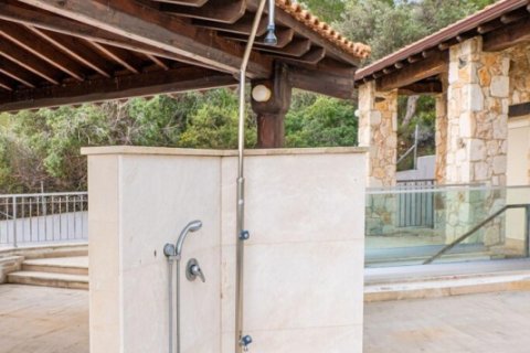 220m² Villa in Paphos, Cyprus No. 105115 8