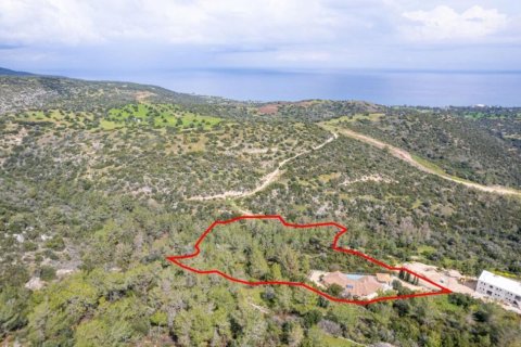 220m² Villa in Paphos, Cyprus No. 105115 12