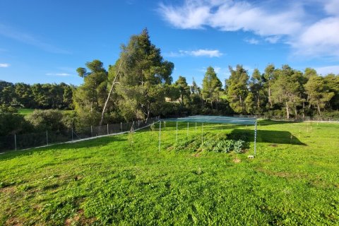 3 bedrooms House in Chalkidiki, Greece No. 116881 18