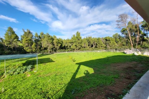 3 bedrooms House in Chalkidiki, Greece No. 116881 19