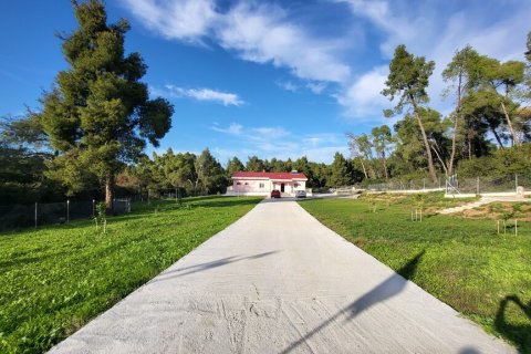 3 bedrooms House in Chalkidiki, Greece No. 116881 17