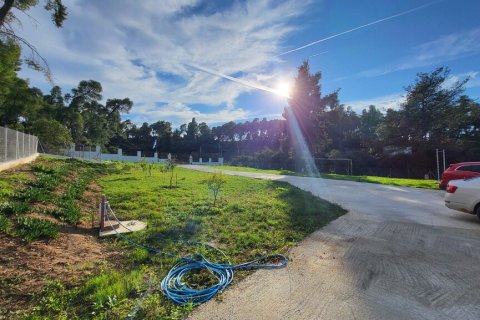 3 bedrooms House in Chalkidiki, Greece No. 116881 22