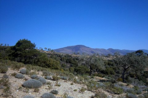 12000m² Land in Thasos, Greece No. 60490 8