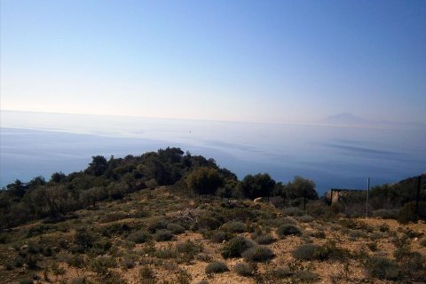 12000m² Land in Thasos, Greece No. 60490 5