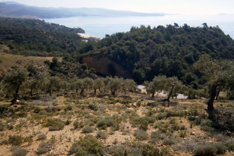 12000m² Land in Thasos, Greece No. 60490 2