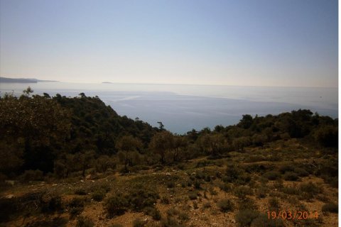 12000m² Land in Thasos, Greece No. 60490 3