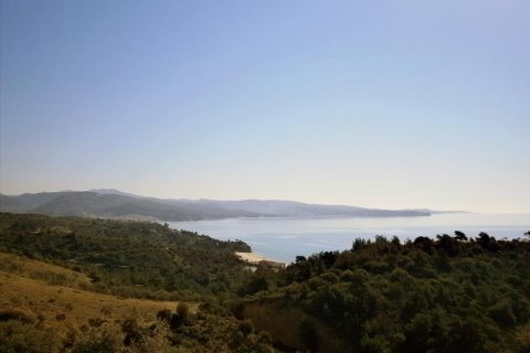 12000m² Land in Thasos, Greece No. 60490 1