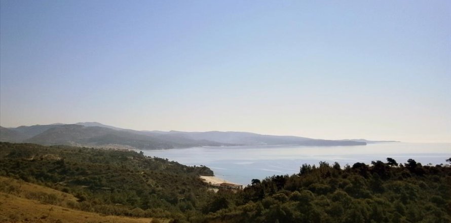 12000m² Land in Thasos, Greece No. 60490