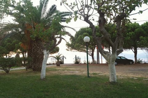 20 rooms Building in Achaea, Greece No. 109241 7