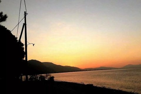 20 rooms Building in Achaea, Greece No. 109241 3