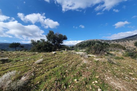 4790m² Land in Agios Nikolaos, Greece No. 56081 2