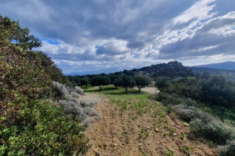 4790m² Land in Agios Nikolaos, Greece No. 56081 5