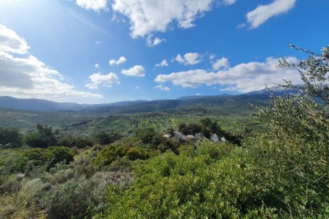4790m² Land in Agios Nikolaos, Greece No. 56081 3