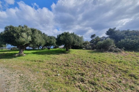 4790m² Land in Agios Nikolaos, Greece No. 56081 4