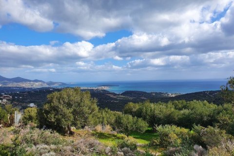 4790m² Land in Agios Nikolaos, Greece No. 56081 1