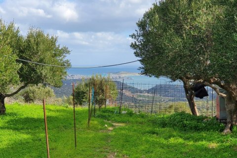 4790m² Land in Agios Nikolaos, Greece No. 56081 7