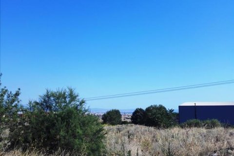 37500m² Land in Evosmos, Greece No. 59534 2
