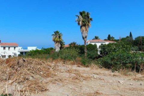 3 bedrooms House in Chloraka, Cyprus No. 70664 5