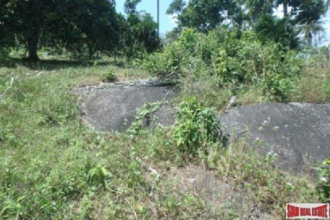 1554m² Land in Surat Thani, Thailand No. 95931 2