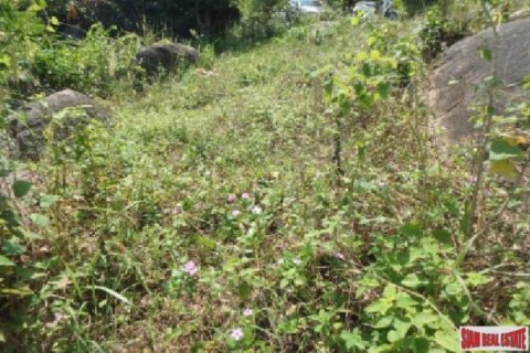 1554m² Land in Surat Thani, Thailand No. 95931 4
