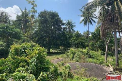1554m² Land in Surat Thani, Thailand No. 95931 7