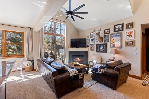 4 bedrooms Townhouse in Breckenridge, USA No. 104598 15