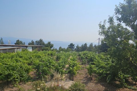 4 dormitorios Villa en Chalkidiki, Greece No. 107636 24