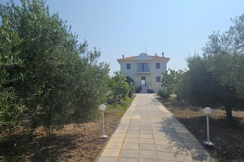 4 dormitorios Villa en Chalkidiki, Greece No. 107636 15
