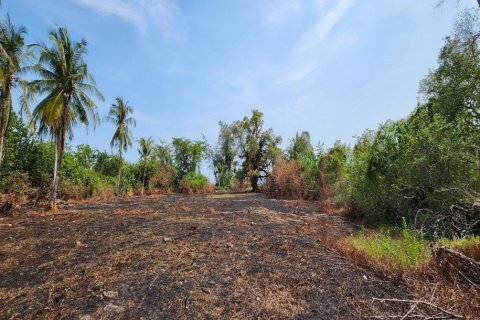 34440m² Land in Krabi, Thailand No. 97262 10