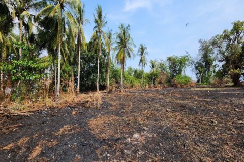 34440m² Land in Krabi, Thailand No. 97262 11