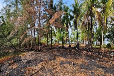 34440m² Land in Krabi, Thailand No. 97262 8
